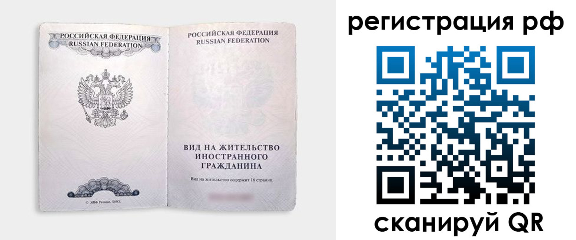 прописка в Электрогорске